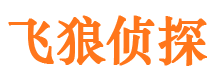 黄岛市婚外情调查